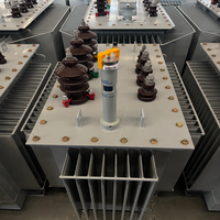 Transformateur de puissance principal PENGTAI 500 kVA triphasé 50/60 Hz entièrement étanche immergé dans l'huile à deux enroulements, sortie 480 V