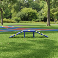 Parc de jeux commercial de haute qualité pour chiens, équipement d'agilité pour la formation et la garderie des animaux, pour l'extérieur, à vendre, certifié CE EN1176