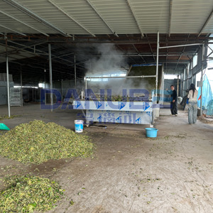 Professional Honeysuckle Mesh Belt Dryer Honeysuckle Dehydrator Equipment Honeysuckle Drying Machine - Product Image 5