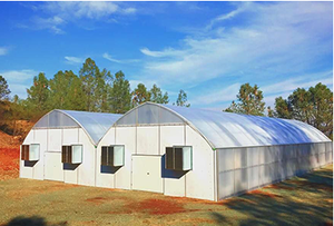 Kit de démarrage système <span class=keywords><strong>hydroponique</strong></span>, damier, serre, vente d'usine d'usine - Product Image 4