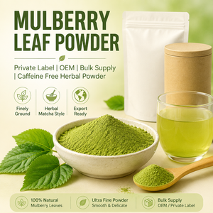 Polvo de Hoja de Morus <span class=keywords><strong>Alba</strong></span> a Granel de Marca Privada OEM, Polvo Herbal de Matcha Finamente Molido, Polvo de Hoja de Morera, Polvo de Té de Morera - Product Image 1
