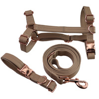 Collare, Guinzaglio e Pettorina in Materiale PU per Cani di Piccola e Media Taglia, Accessori per Animali Domestici