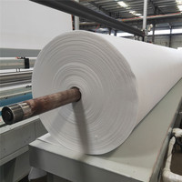 150gsm tissu non tissé fortement durable de filtre de géotextile de pp pour l'allée de gravier