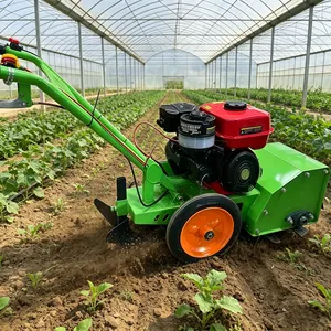 Tractor de un solo eje a gasolina versátil <span class=keywords><strong>para</strong></span> huertos y plantación de patatas, con barrena <span class=keywords><strong>para</strong></span> <span class=keywords><strong>tierra</strong></span> incluida - Product Image 1