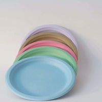 Assiette à dessert jetable de 9 pouces personnalisée, vaisselle de fête biodégradable écologique, ensemble de vaisselle aux couleurs personnalisées