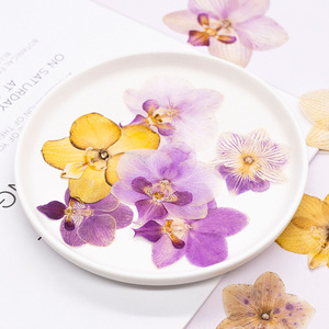 Flores <span class=keywords><strong>de</strong></span> Orquídea Prensadas Elegantes para Arte en Resina, Orquídeas Púrpuras Naturales al por Mayor para Manualidades, Fundas <span class=keywords><strong>de</strong></span> Teléfono con Resina Epoxi - Product Image 2
