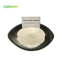 YDAWAY Supplément sain Produit de soin Halal Non-gmo Diabète Hydrolized Rice Protein Peptide pour la récupération d'énergie