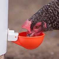 Bebedero de agua para aves de corral, taza para palomas, aves, pollo, codorniz, PH-124