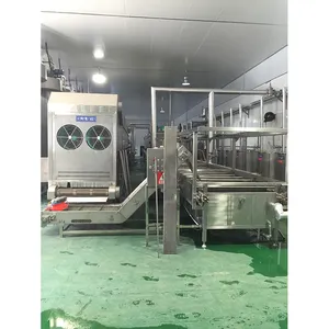 DW尺寸美食粉连续带式干燥机专业可定制型