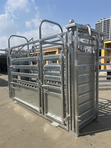 China Heavy Duty acero galvanizado manejo de ganado Crush Chute Squeeze Crush para uso veterinario - Product Image 2