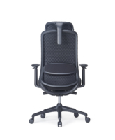 Fauteuil de Direction Ergonomique en Maille Respirante avec Support Lombaire et Accoudoirs 4D, Chaise à Roulettes