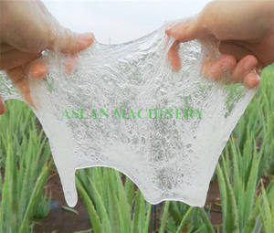 Máquina Procesadora de Productos de Aloe/ Máquina de Extracción de Gel de <span class=keywords><strong>Cactus</strong></span>/ Máquina Peladora y Extractora de Hojas de Aloe Vera - Product Image 4