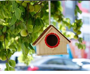 Comedero de Madera para Pájaros, Colgante, para Observar Pinzones, Cardenales, Pájaros Pequeños, Oropérs, Decoración de Jardín - Product Image 2