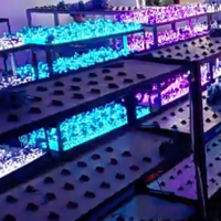 Lumière LED à point de champignon, diamètre 12 mm, avec trou de montage, barre de pixels LED, guirlande lumineuse 2811, lumières pleine couleur apparentes, injection de colle
