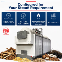 Chaudière à vapeur à tambour unique DZH de 500 kg à 2000 kg, alimentée au charbon et aux biomasses, pour usine chimique, économie d'énergie, faible coût de carburant