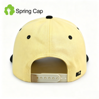 Elegante Gorra de Béisbol Personalizada de 5 Paneles con Logotipo Bordado, Bicolor, de Algodón, Ajustable para Adultos, Estilo Dad Hat, para Viajes