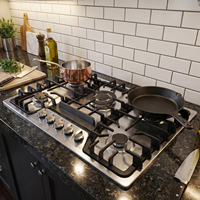 Table de cuisson à gaz encastrable de 30 pouces, 5 brûleurs, en acier inoxydable, convertible propane/gaz naturel, plaque de cuisson à double combustible scellée 4,5 kW