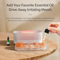 Diffuseur d'aromathérapie WMK, vente en gros d'usine OEM, 120 ml, humidificateur intelligent à brume froide USB, diffuseur d'arômes à flamme avec CE ROHS FCC