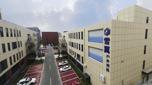 Sw OEM Directo <span class=keywords><strong>de</strong></span> Fábrica, Taco <span class=keywords><strong>de</strong></span> <span class=keywords><strong>Billar</strong></span> <span class=keywords><strong>de</strong></span> Fibra <span class=keywords><strong>de</strong></span> Carbono Personalizado para Pool y Snooker, Accesorio para Taco <span class=keywords><strong>de</strong></span> <span class=keywords><strong>Billar</strong></span>, Guantes, Taco <span class=keywords><strong>de</strong></span> Salto <span class=keywords><strong>Predator</strong></span> para Pool y Carambola - Product Image 6