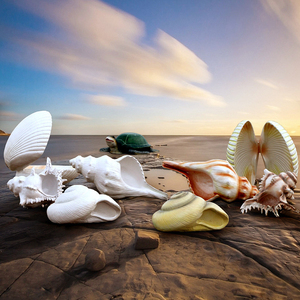 Accessoires photographiques sur le thème <span class=keywords><strong>de</strong></span> l'océan, sculpture géante <span class=keywords><strong>de</strong></span> <span class=keywords><strong>tortue</strong></span> en fibre <span class=keywords><strong>de</strong></span> verre, motif d'algues <span class=keywords><strong>de</strong></span> mer, corail, étoile <span class=keywords><strong>de</strong></span> mer, accessoires pour la <span class=keywords><strong>plage</strong></span> - Product Image 4
