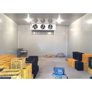 Competitive Price cold rooms second hand mushroom grow room fruit and vegetable cold room for flower