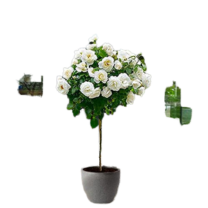 <span class=keywords><strong>Pot</strong></span> de fleurs sur pied de grande capacité, style nordique minimaliste, rose sur <span class=keywords><strong>tige</strong></span>, pour la décoration de la maison et du jardin de luxe - Product Image 1