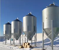 HZC Fournisseur d'usine de silos de stockage de céréales et d'aliments pour volailles et animaux, capacité 30T 40T 50T