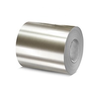 International Standard Steel Coil, Sizes 1020, Aisi 302