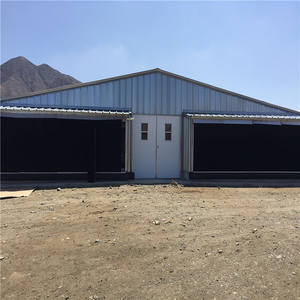 현대 디자인 철골 구조 닭 농장 및 육계 하우스 - Product Image 6