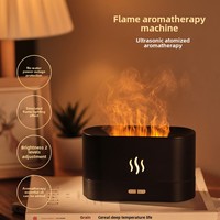 Diffuseur d'arômes de bureau moderne pour la maison et le bureau avec grand humidificateur réaliste à flamme Nouveau design coloré à flamme
