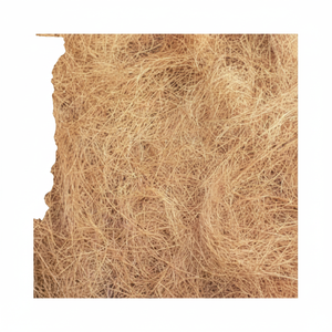 Fibra de coco superior respetuosa con el medio ambiente fibra de coco de larga duración ideal para muebles de cuerda de cepillo y producción de exportación - Product Image 1