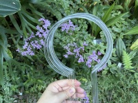 Anneaux de soutien pour plantes en acrylique moderne de 12 pouces transparents avec un soutien solide pour les plantes grimpantes