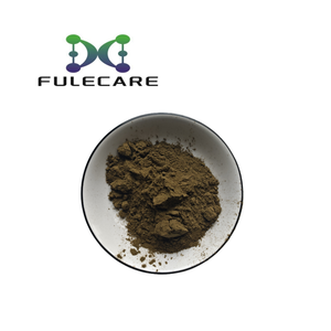 Polvo de Henna de alta calidad Polvo de Henna al por mayor - Product Image 1