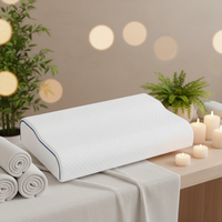 OEM Sunrise Oreiller Musical Ergonomique Sans Fil Intelligent 5V à Contrôle par Application pour la Maison, avec Alarme de Réveil et Fonction Sommeil, pour Usage Domestique