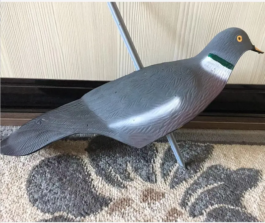 Personalizado personalidade pigeon caça decodificações