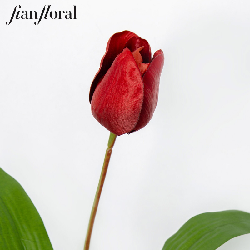 Rosso 10.R0022