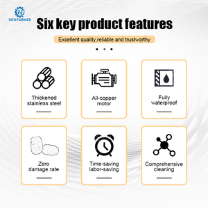 Machine <span class=keywords><strong>à</strong></span> éplucher les pommes <span class=keywords><strong>de</strong></span> <span class=keywords><strong>terre</strong></span> en <span class=keywords><strong>vente</strong></span> chaude, petite machine <span class=keywords><strong>à</strong></span> éplucher les pommes <span class=keywords><strong>de</strong></span> <span class=keywords><strong>terre</strong></span> en acier inoxydable 304, machine <span class=keywords><strong>à</strong></span> laver et <span class=keywords><strong>à</strong></span> retirer la peau des taro - Product Image 3