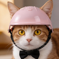 Casque pour chien et chat - Léger, écologique, en ABS, motif uni, été, hiver, sport, extérieur, accessoire de moto