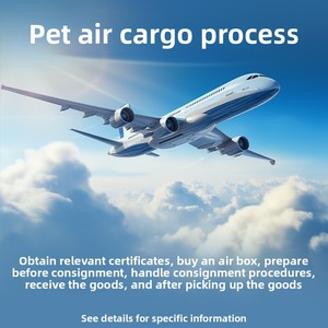 Cage de <span class=keywords><strong>transport</strong></span> pour animaux de compagnie approuvée par la IATA pour chats et chiens, <span class=keywords><strong>en</strong></span> plastique durable, pour voyages <span class=keywords><strong>en</strong></span> avion - Product Image 4