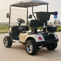 Carrito de Golf Eléctrico de 2 Plazas con Frenos en las 4 Ruedas para Caza Todoterreno, Fabricado en China