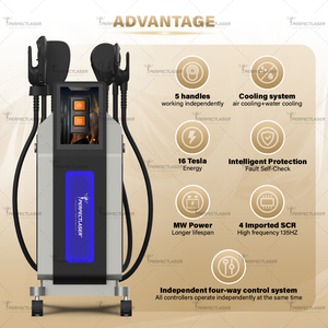 Perfectlaser EMT+EMS 2 en 1, Moldeador Corporal, 135HZ, Alta Frecuencia, Reafirmación de la <span class=keywords><strong>Piel</strong></span>, Desarrollo Muscular, Dispositivo de Belleza - Product Image 2