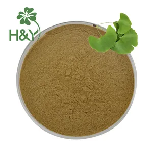 Extracto de ginkgo biloba natural puro, extracto de hoja de ginkgo biloba