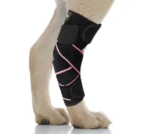 واقي ركبة للكلب كلب داعم للركبة أرجل كلب أربطة مشد للف ضغط ACL حيوان أليف كلب متوسط الحجم