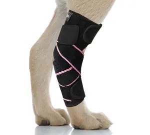 Hond Knie Ondersteuning Beschermer Hond Hondenbeen Hock Joint Brace Voor Acl Compressie Wrap Pet Knie Brace Middelgroot Hondenbeen Brace