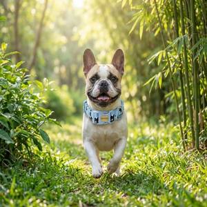 <span class=keywords><strong>Collar</strong></span> para Perros YG-111 de Nailon con Diseño de Panda, Transpirable, Personalizado, de Dibujos Animados, Moderno y Sencillo - Product Image 3