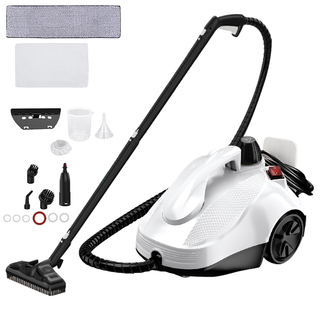 2000W 5 bar Professional Portable Steamer High Temperature High Pressure Handheld Car Steam Cleaners for Household Kitchen Use