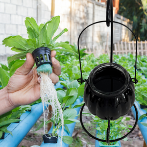 <span class=keywords><strong>Fertilizante</strong></span> Líquido Superconcentrado de Ácido Húmico, <span class=keywords><strong>Fertilizante</strong></span> Orgánico para Acondicionamiento del Suelo, Crecimiento de Raíces, Uso Agrícola y de Jardinería - Product Image 5