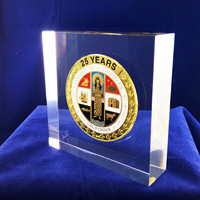 Plaque commémorative personnalisée en acrylique transparent avec pièce de monnaie métallique intégrée, plaque de défi, presse-papiers en résine, trophée commémoratif, cadeau
