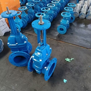 Válvula de Compuerta de Vástago Ascendente de 2 Pulgadas, Tipo Más Común para Servicio General de Fluidos, Estándar DIN/BS/JIS, Accionamiento por Cadena, Gran Venta en Irak - Product Image 5