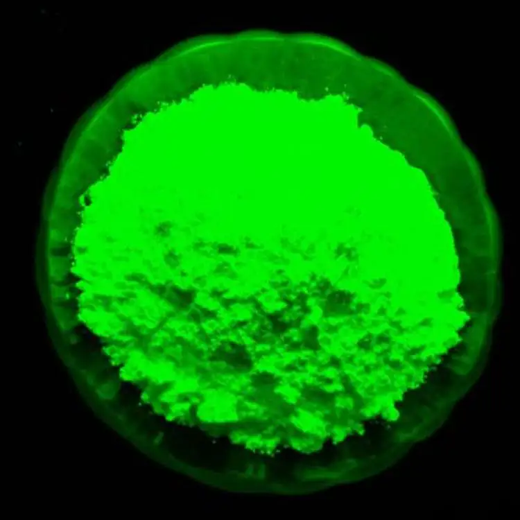 Luminous powder raw material for sticker injection molding glow in dark